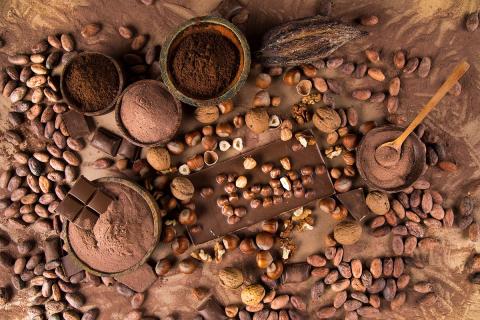 The ingredients for making chocolate spread on a counter, including cocoa beans, cocoa powder, nuts, and spices.