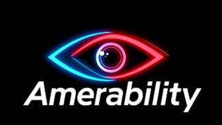 Amerability Logo showing a multi-colored eye over the company name.